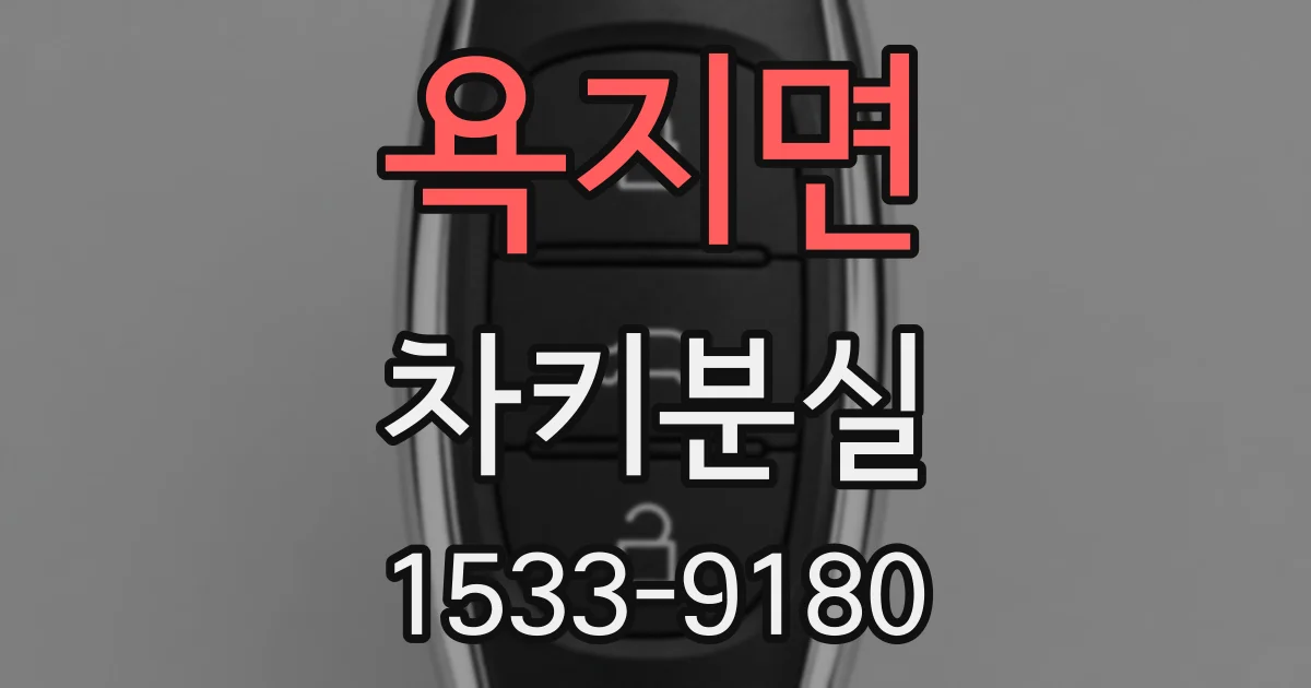 욕지면 차키분실