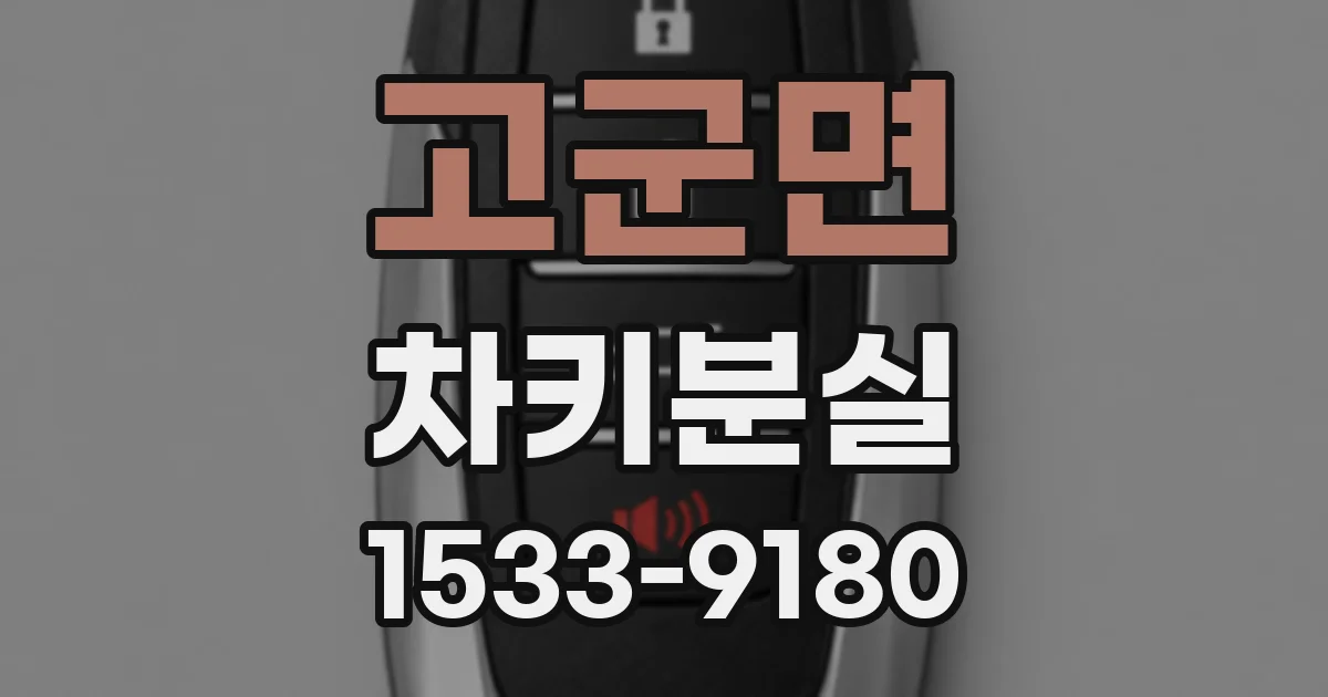 고군면 차키분실