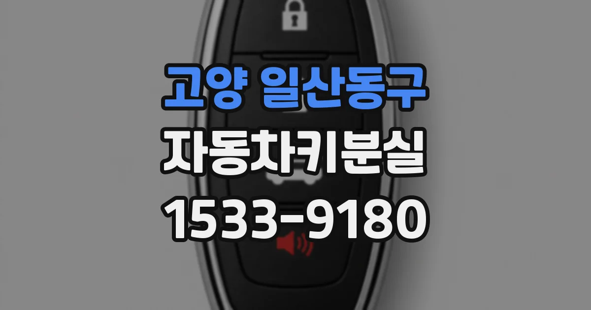 고양 일산동구 자동차키분실