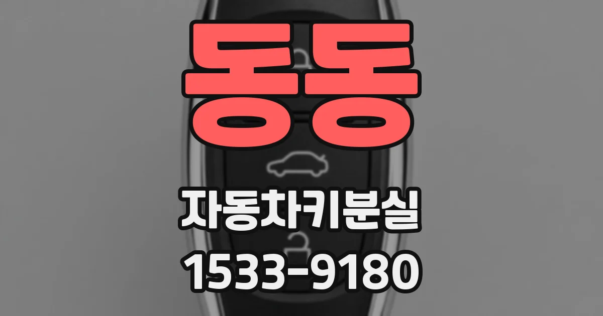 동동 자동차키분실