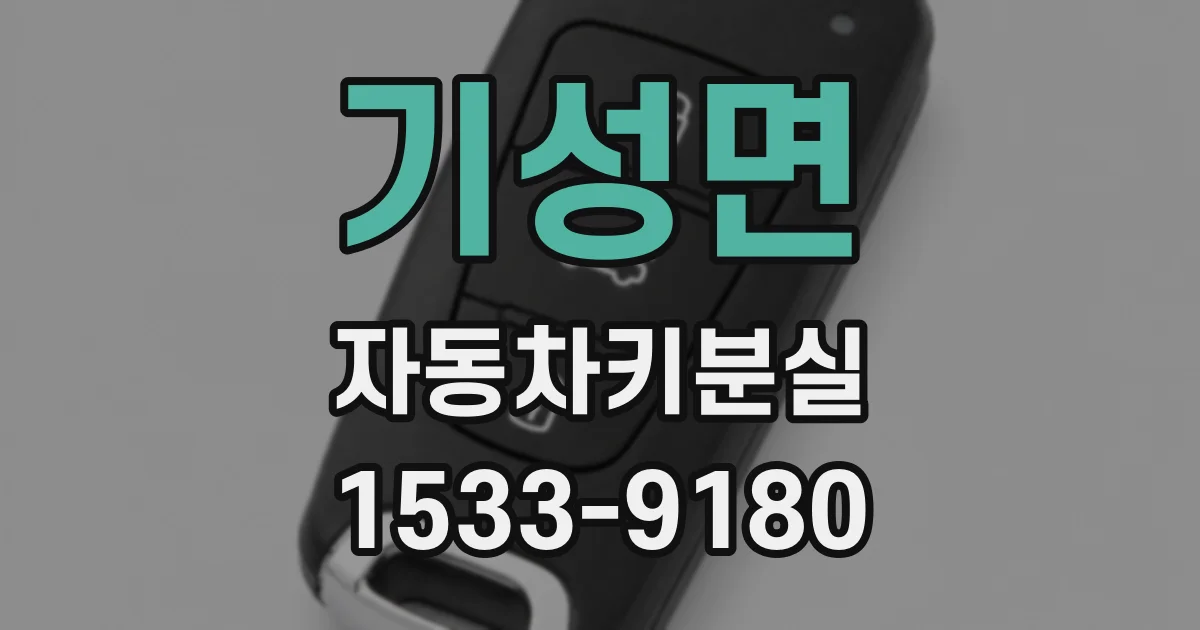 기성면 자동차키분실