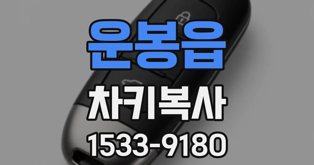 운봉읍 차키복사