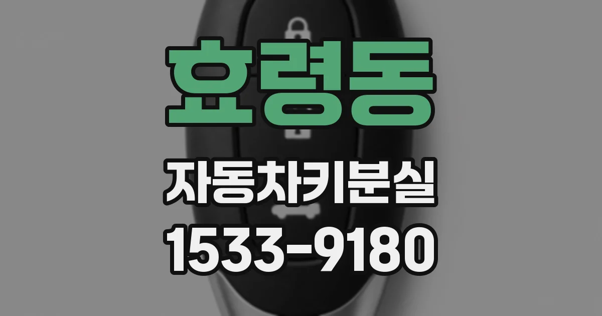 효령동 자동차키분실