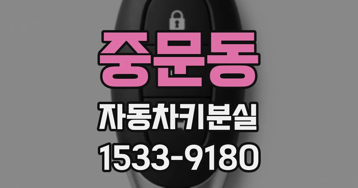 중문동 자동차키분실