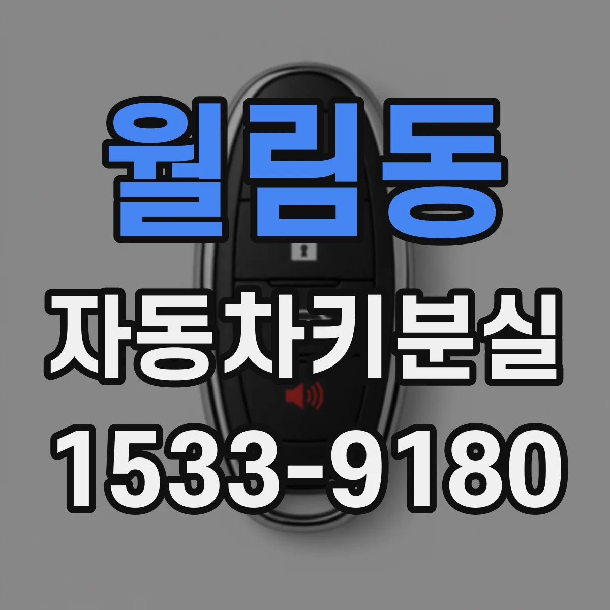 월림동 자동차키분실