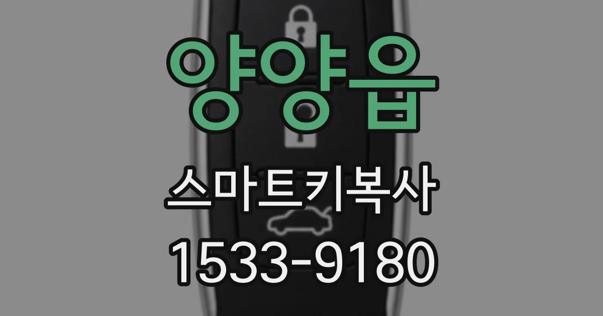 양양읍 스마트키복사