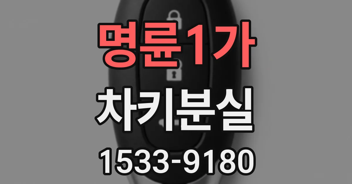 명륜1가 차키분실