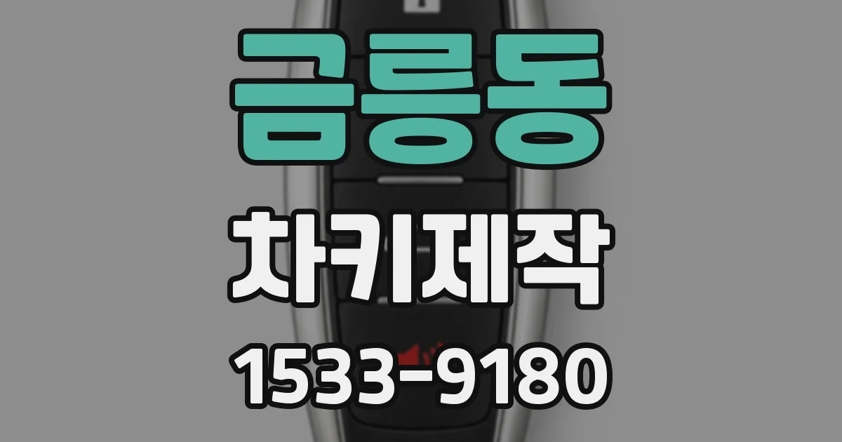 금릉동 차키제작