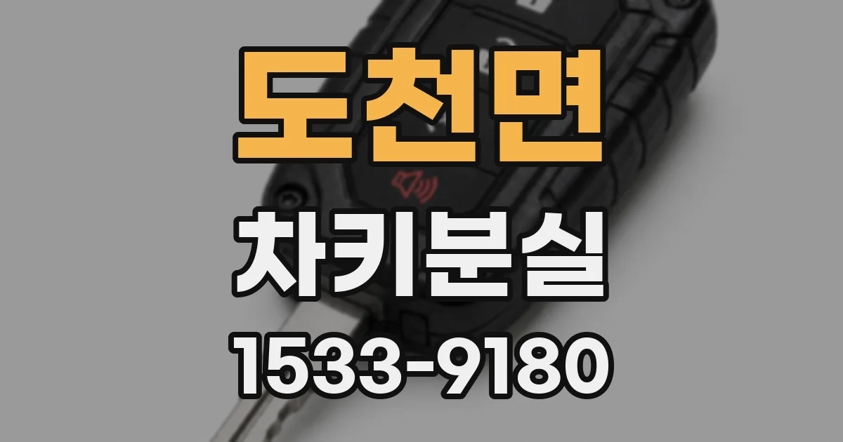 도천면 차키분실