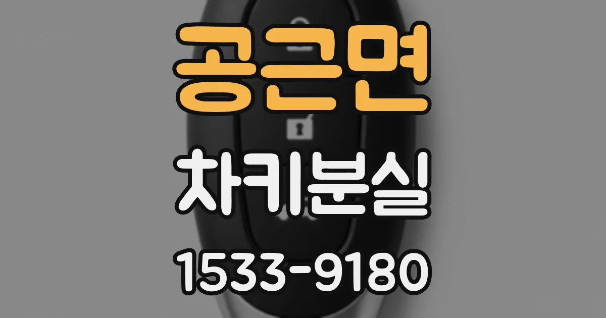 공근면 차키분실
