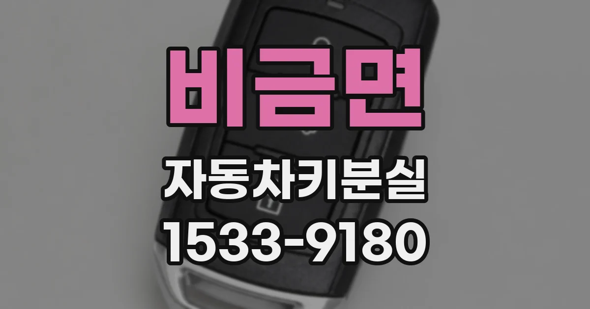 비금면 자동차키분실