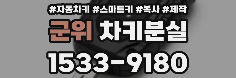 군위 차키분실
