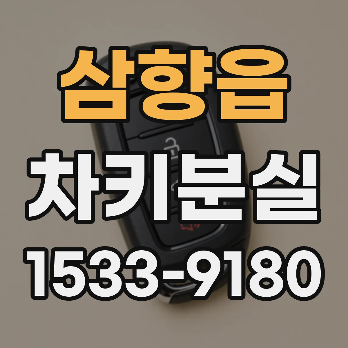 삼향읍 차키분실