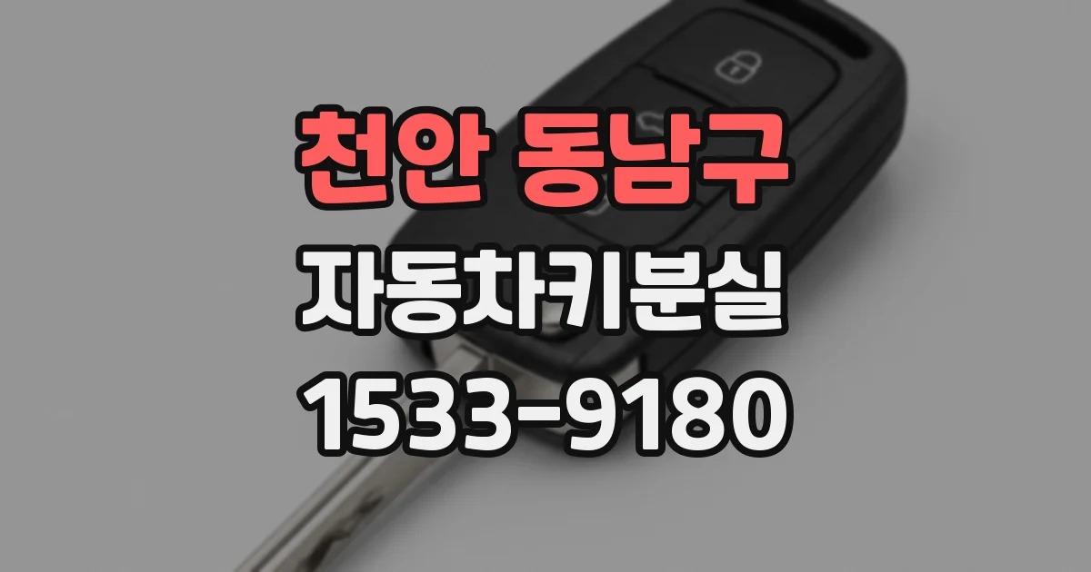 천안 동남구 자동차키분실