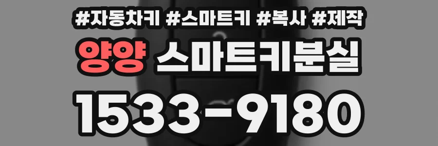 양양 스마트키분실