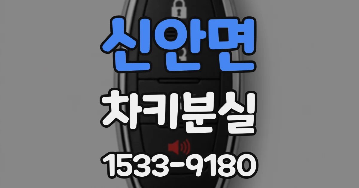 신안면 차키분실