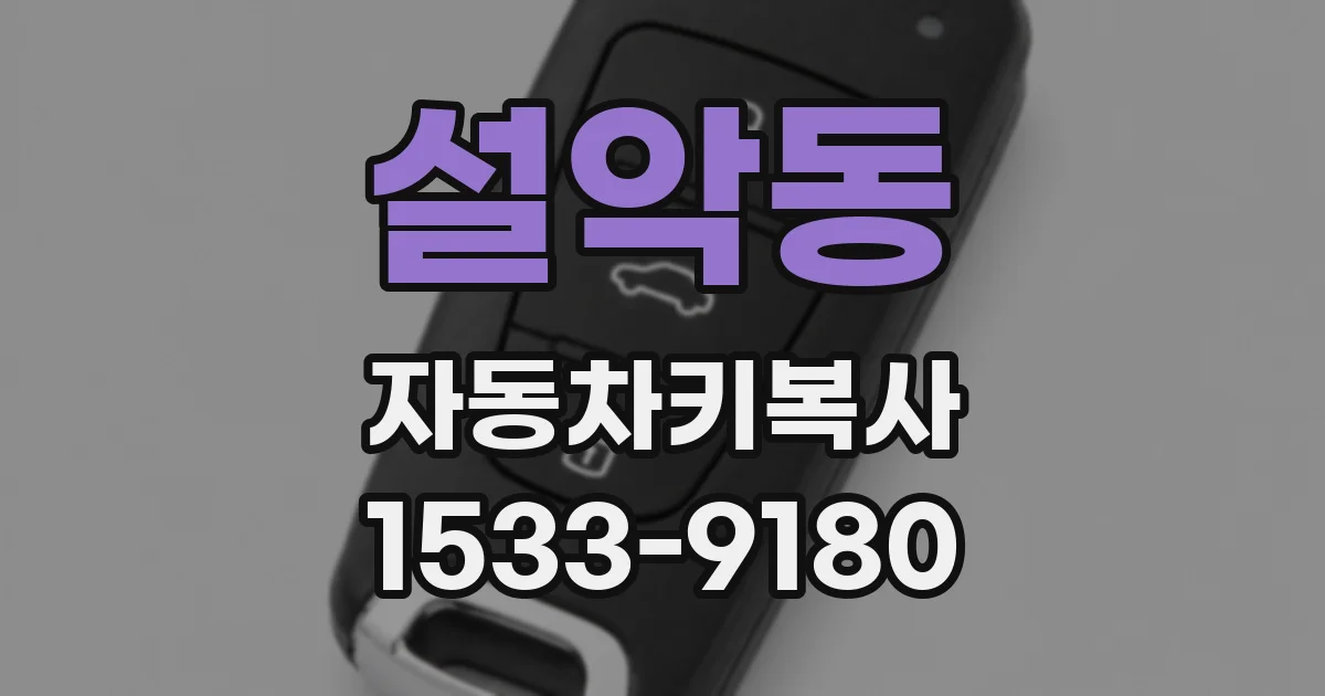 설악동 자동차키복사