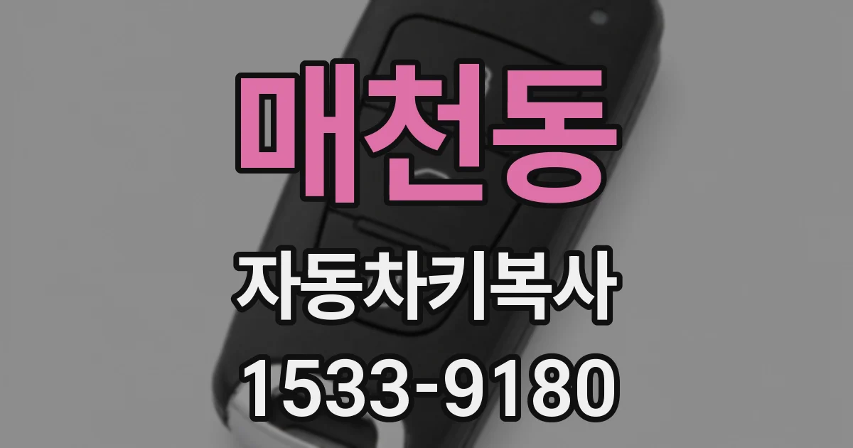 매천동 자동차키복사