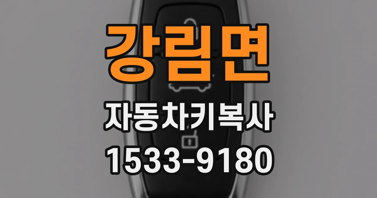 강림면 자동차키복사