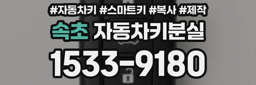 속초 자동차키분실