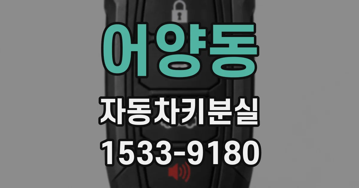 어양동 자동차키분실