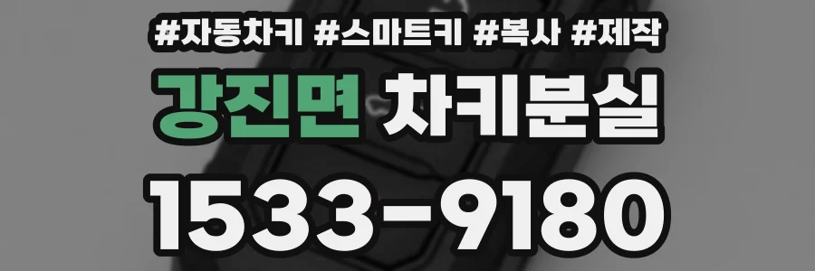 강진면 차키분실