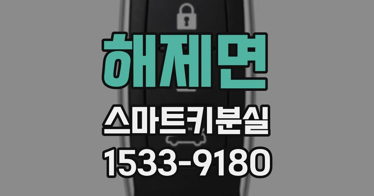 해제면 스마트키분실