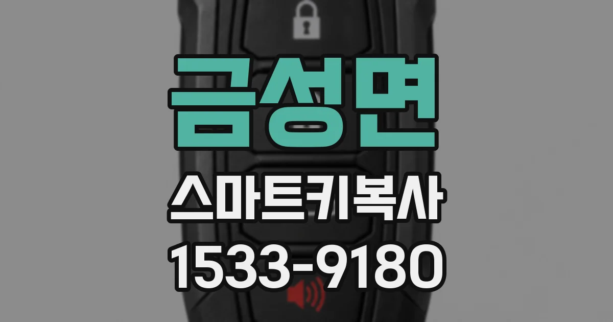 금성면 스마트키복사