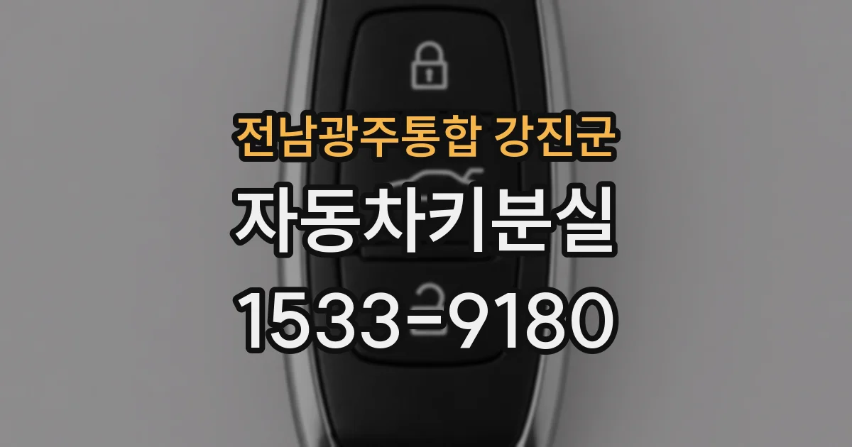 전남광주통합 강진군 자동차키분실