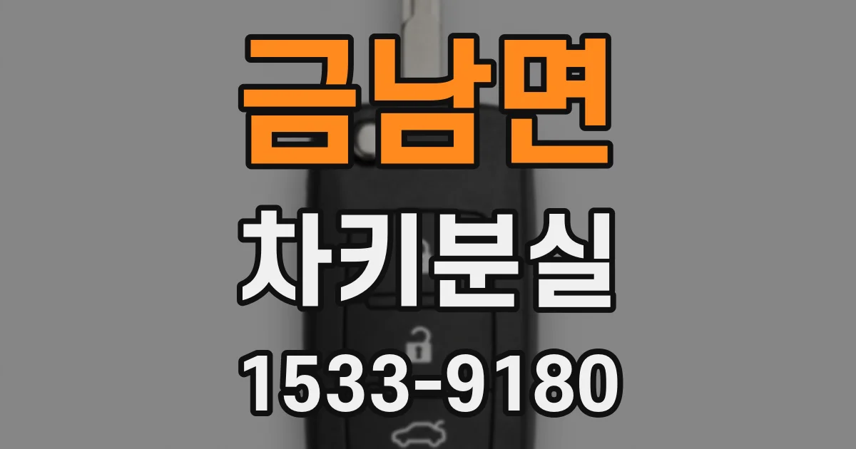 금남면 차키분실