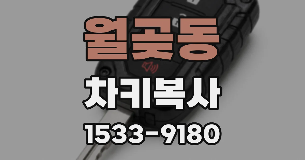 월곶동 차키복사