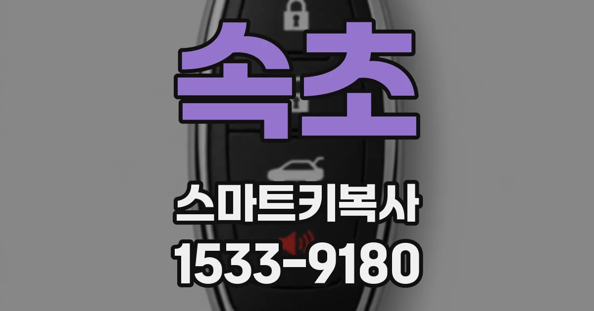 속초 스마트키복사