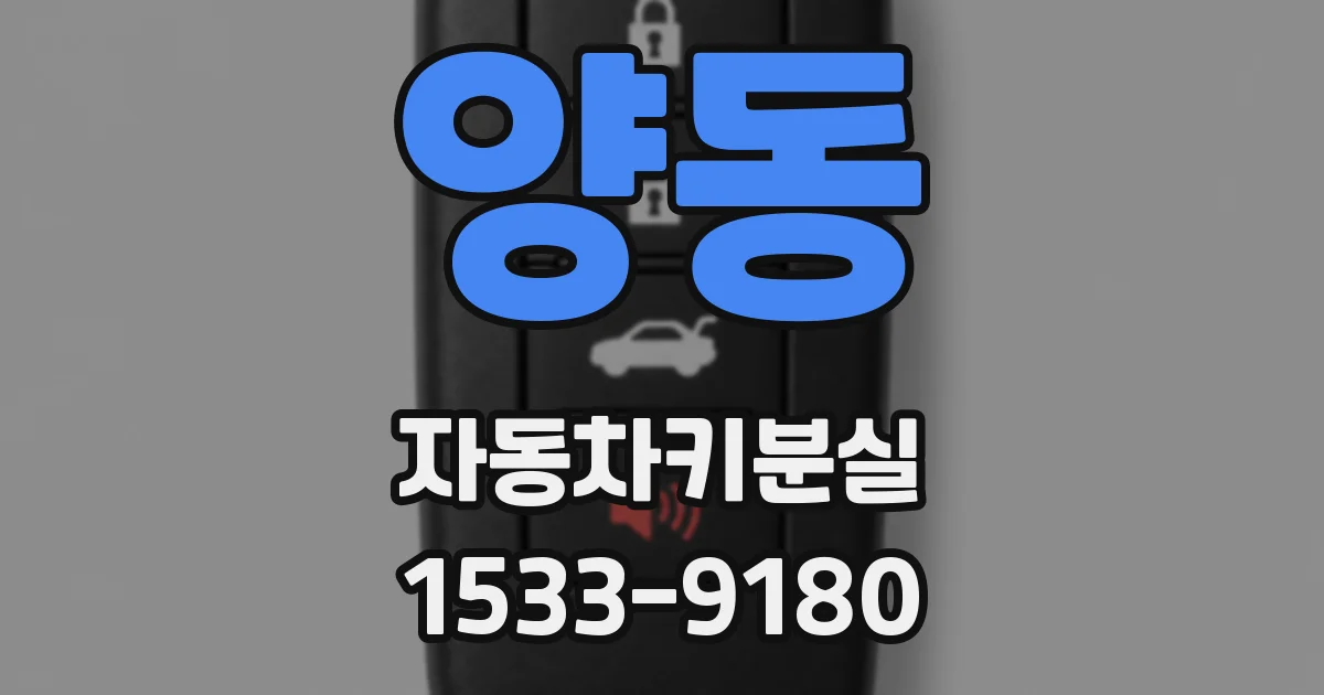 양동 자동차키분실
