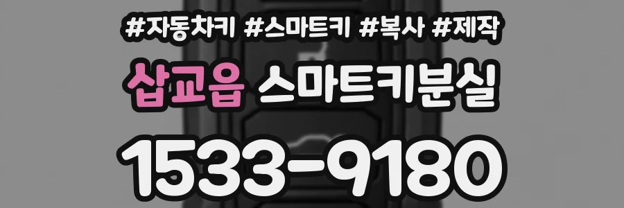 삽교읍 스마트키분실