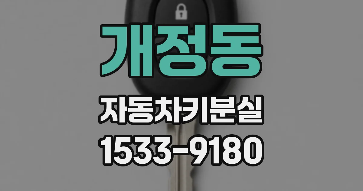 개정동 자동차키분실