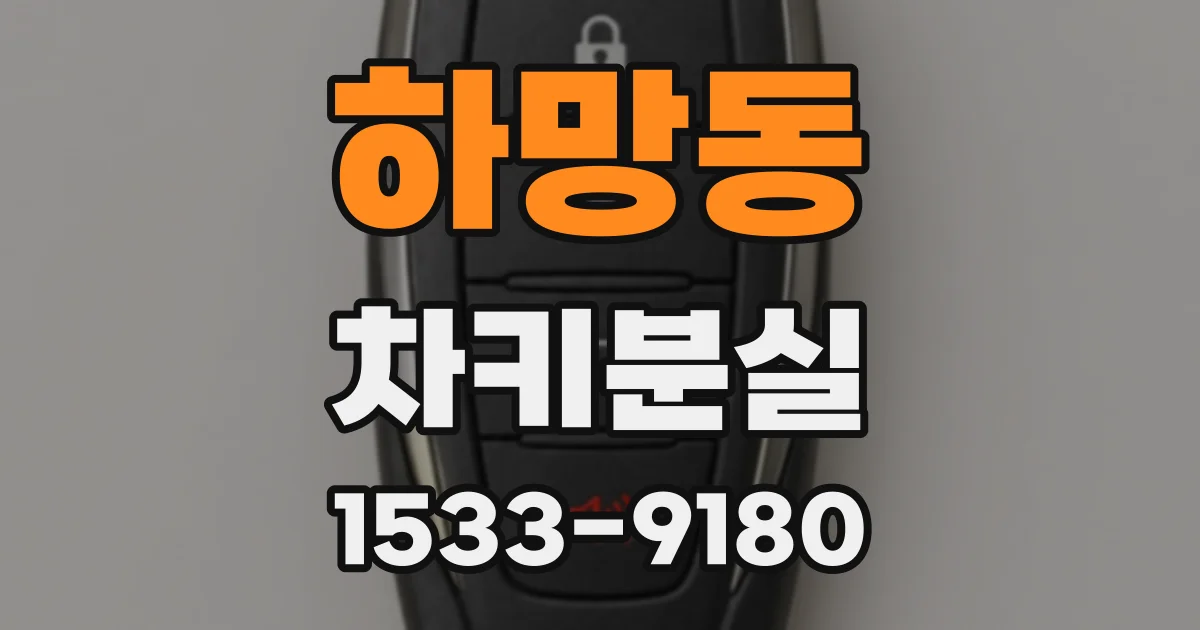 하망동 차키분실