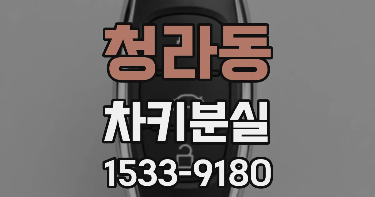 청라동 차키분실