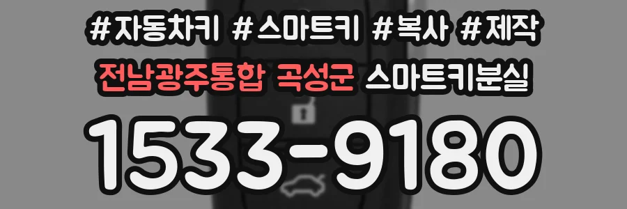 전남광주통합 곡성군 스마트키분실