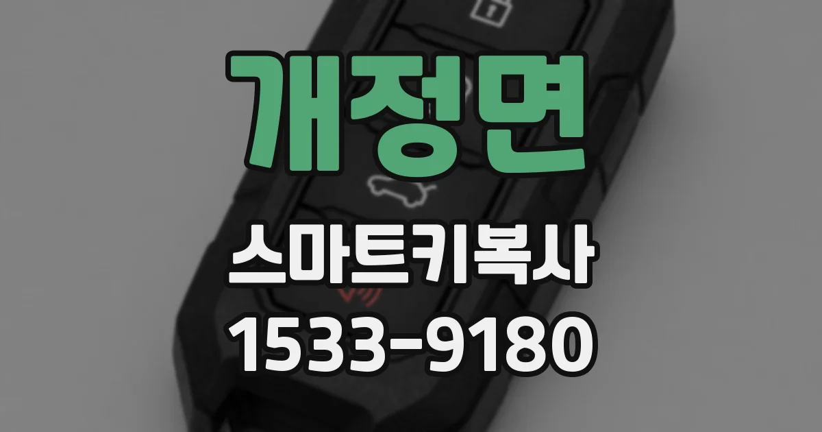 개정면 스마트키복사