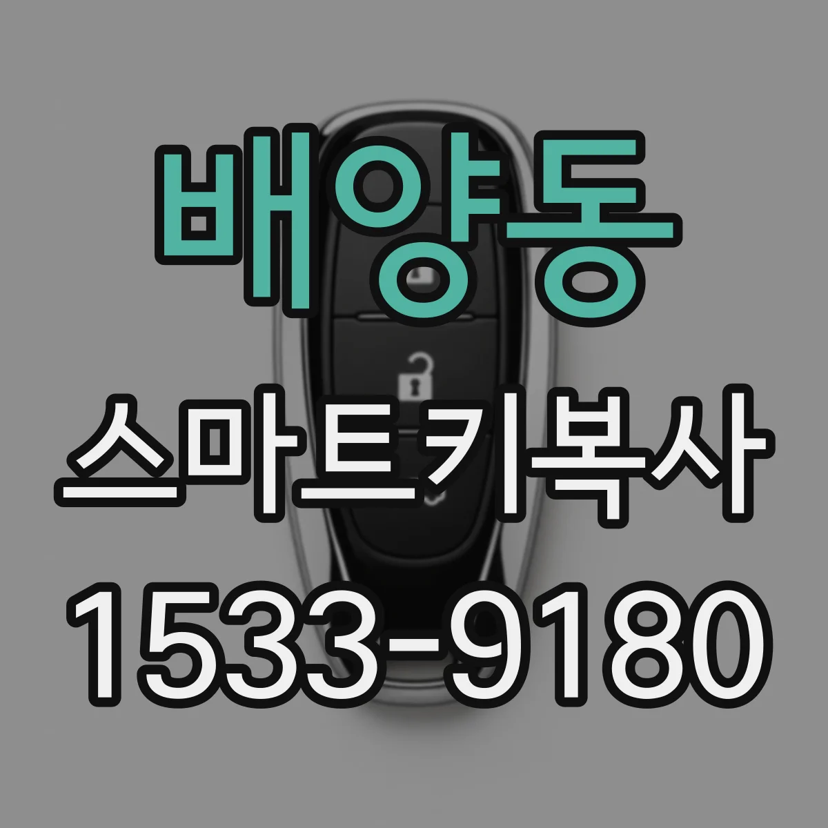 배양동 스마트키복사