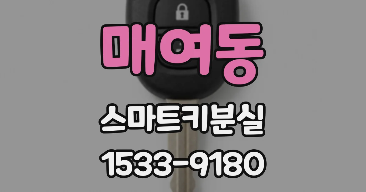 매여동 스마트키분실