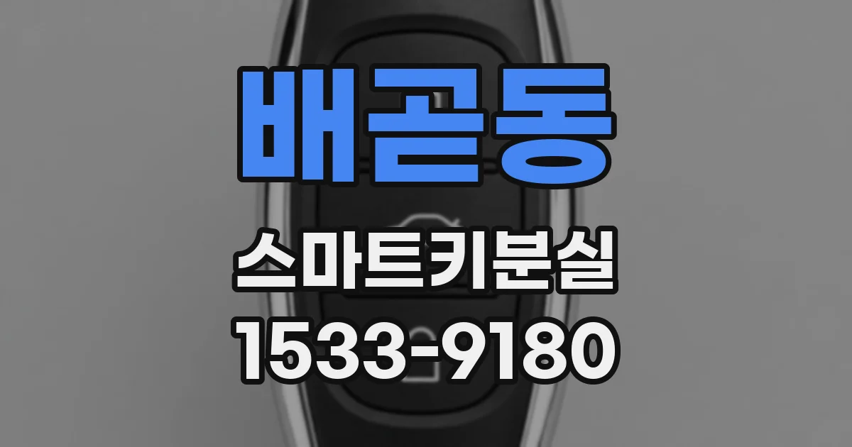 배곧동 스마트키분실