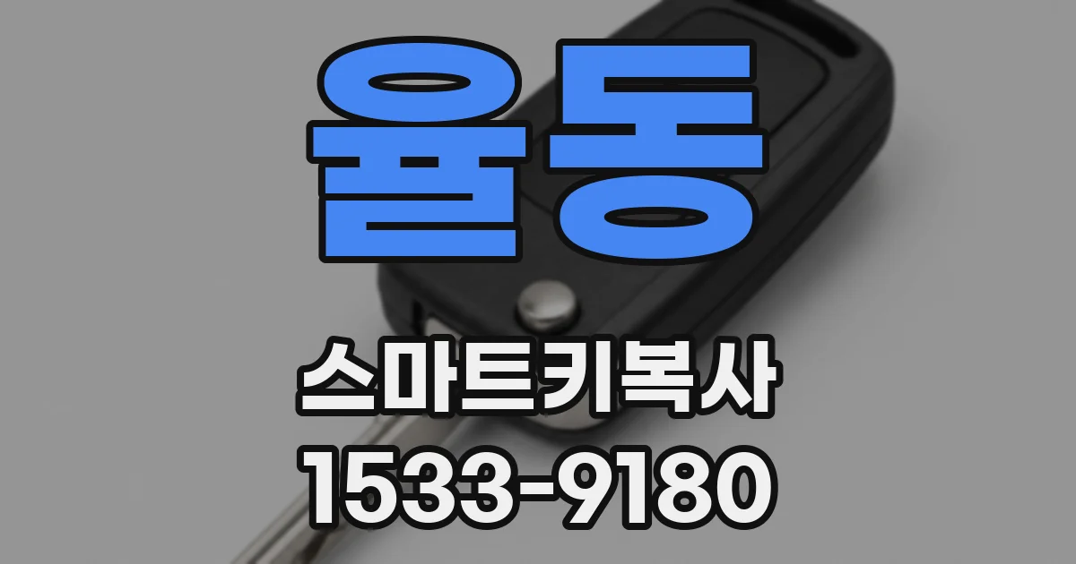 율동 스마트키복사