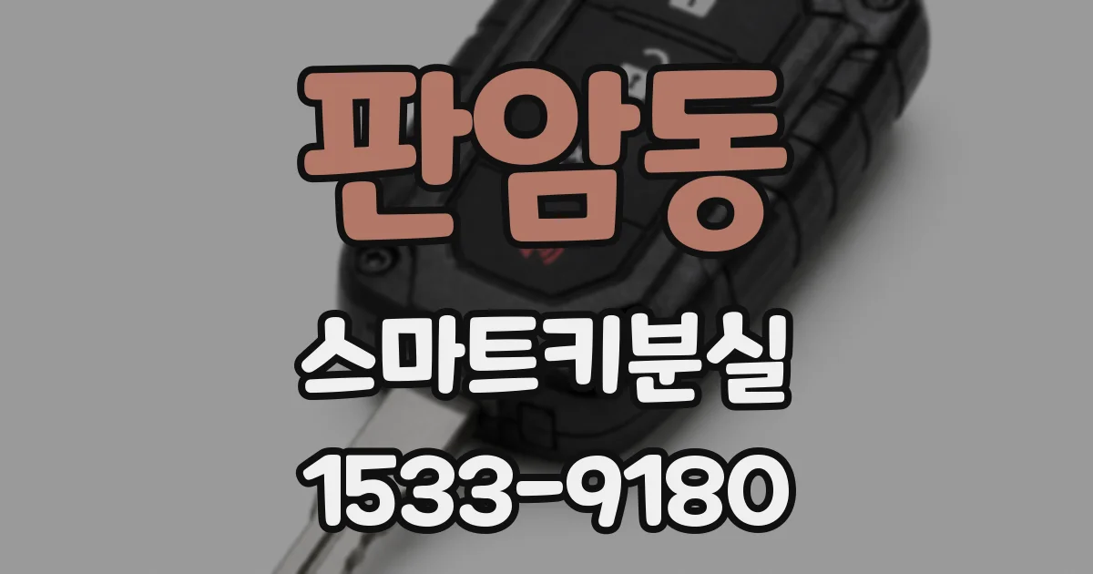 판암동 스마트키분실