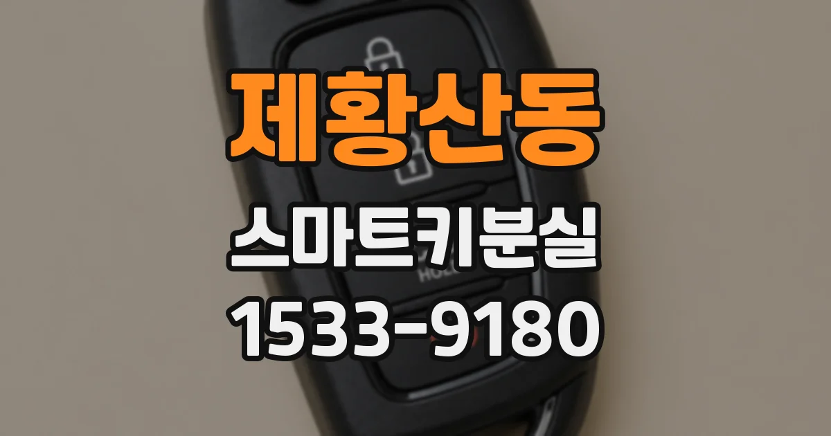 제황산동 스마트키분실