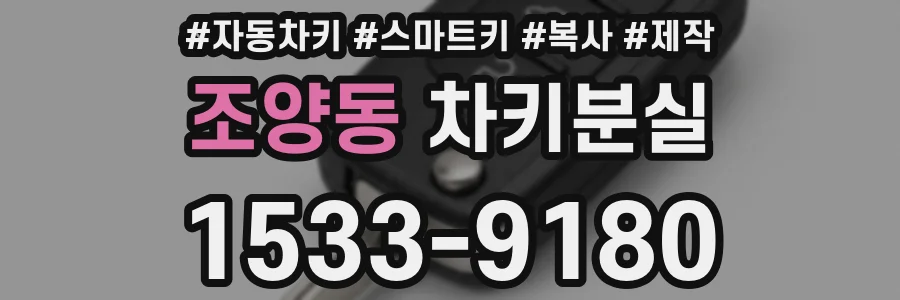 조양동 차키분실