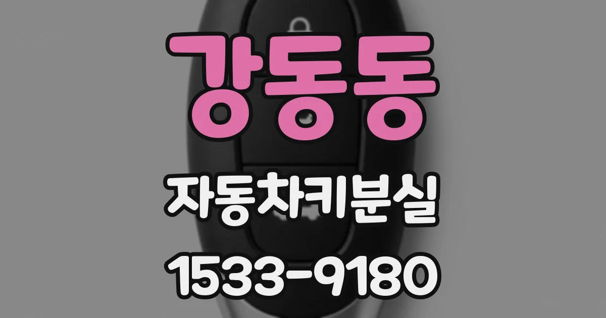강동동 자동차키분실
