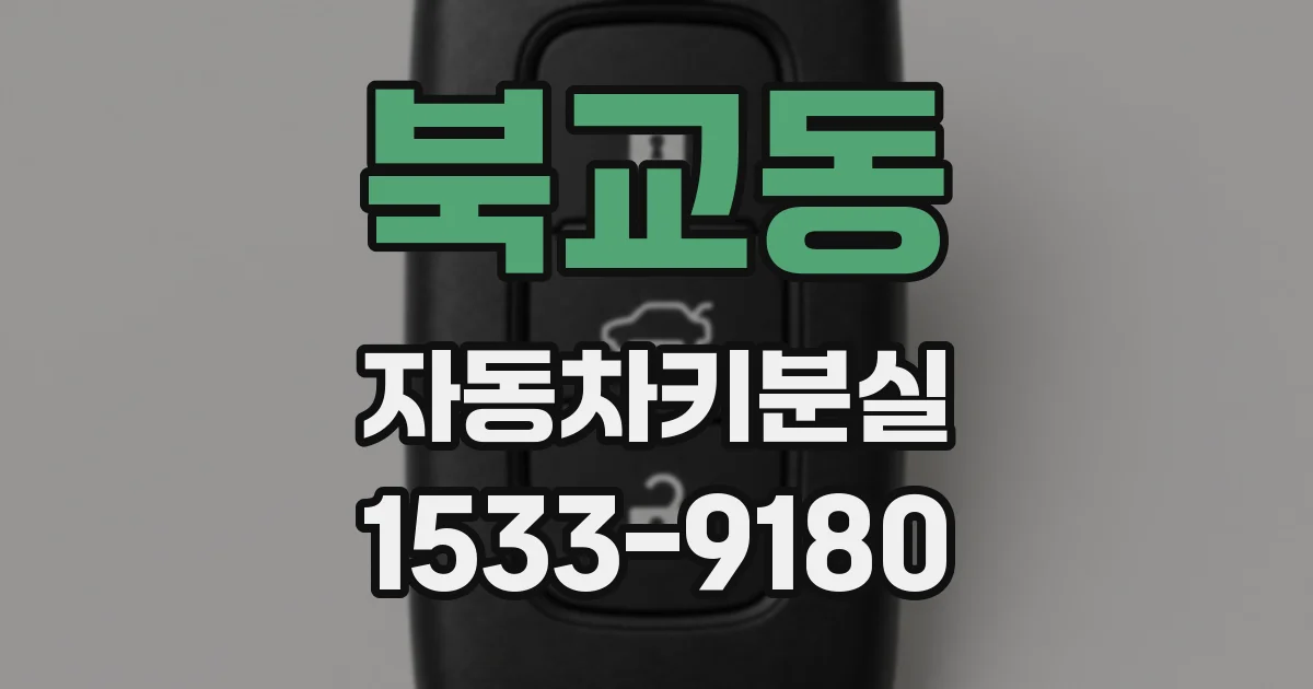 북교동 자동차키분실