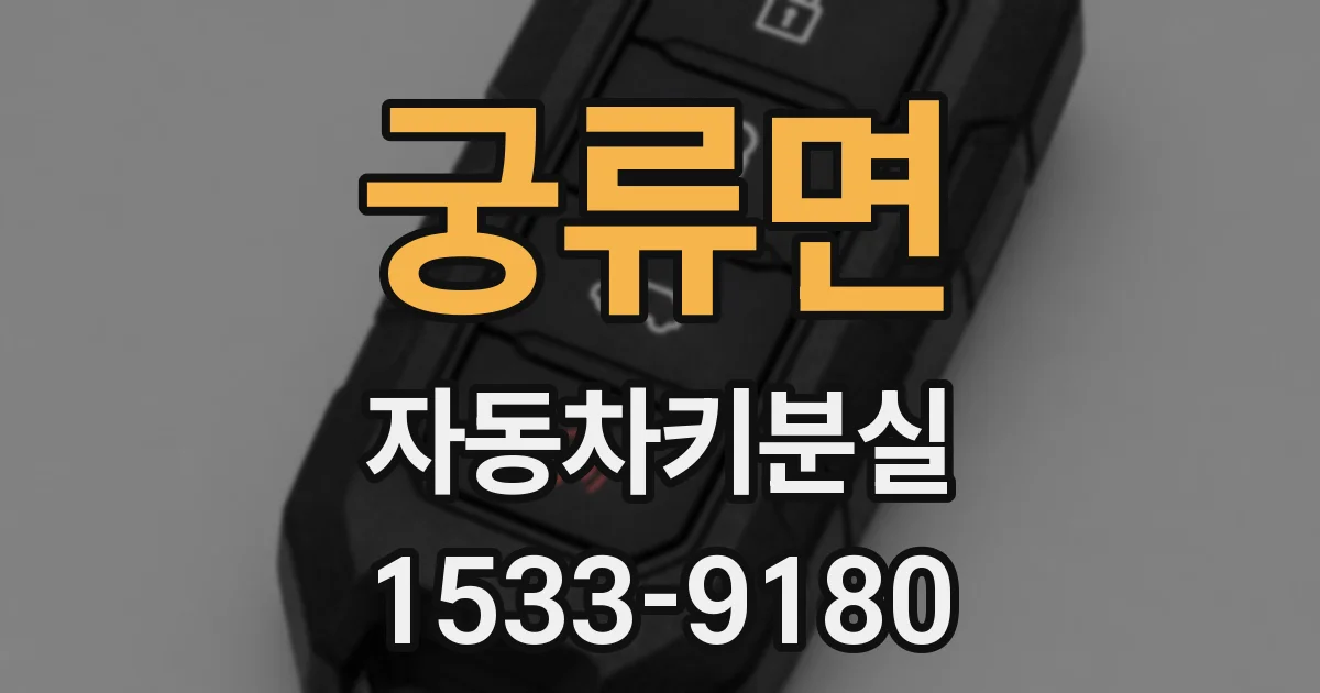 궁류면 자동차키분실