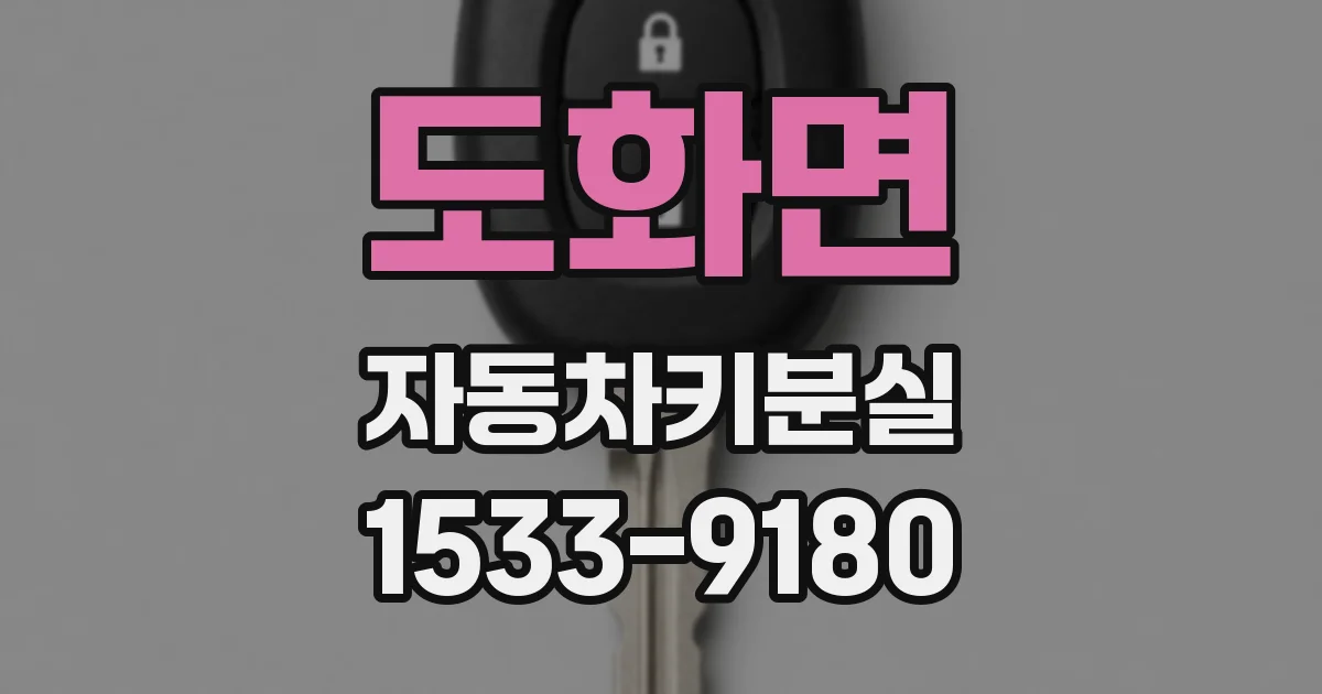 도화면 자동차키분실